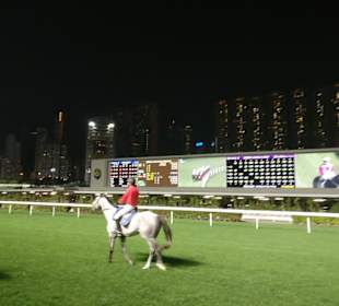 HK Racecorse