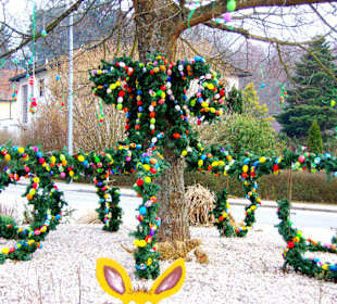 Rollnhofen Hersbruck