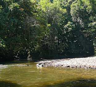 Bootsfahrt auf dem Melinau