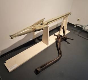 Walharpune im Altonaer Museum