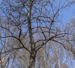 Geologischer Lehrpfad Kirnbachtal