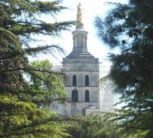 Kathedrale von Avignon