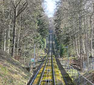 Fahrt mit der Merkurbergbahn hoch zum Merkurberg