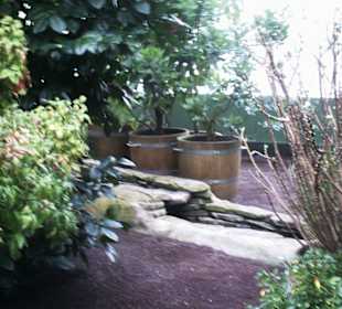 Kleiner Bach im Kalthaus