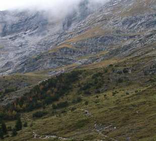Weg Richtung Alpiglen zur Bahnstation