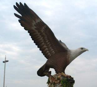 am Eagle Square