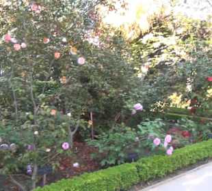 Real Jardín Botánico de Madrid