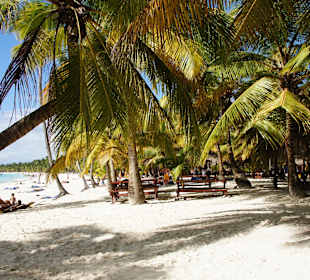 Saona Insel