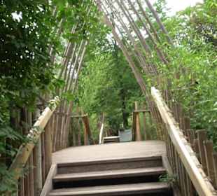 Tierpark Hellabrunn - Reich der Elefanten