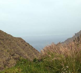 Roślinność Gór Gran Canaria