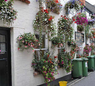 Padstow-schönes Haus-schöne Aussicht