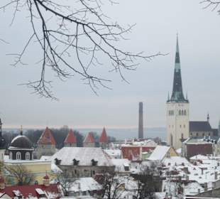 Stare Miasto Tallinn