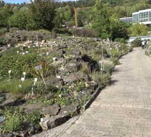 Alpinum