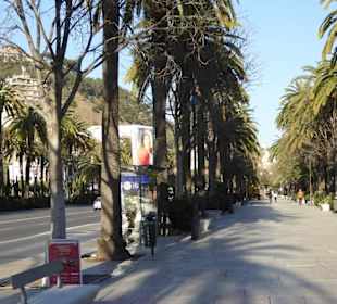 Málaga 