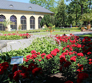 Pałac i ogród w Wilanowie