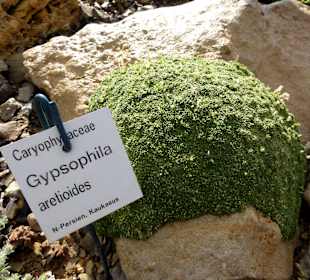 Impressionen aus dem Botanischen Garten