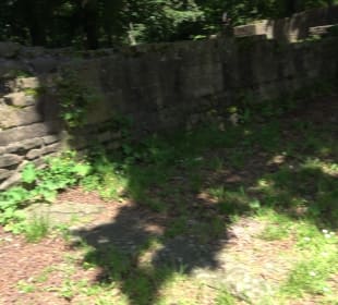 Ruine Stephanskloster