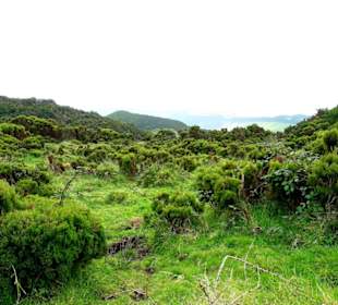 Inselrundfahrt Terceira