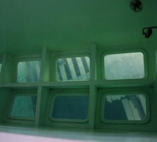 Glasbodenansicht des Wracks