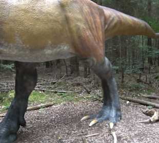 Dinosaurier Museum Altmühltal