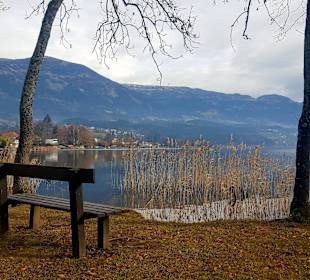 Umgebung