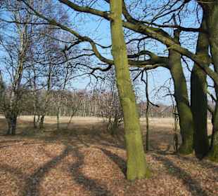 Wunderschöne Boberger Niederung