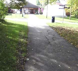 Fastnachtsmuseum Narrenschopf