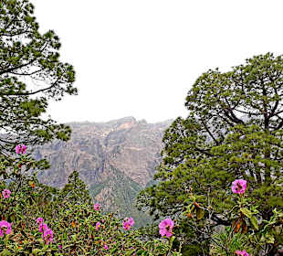 Traumhafte Landschaft