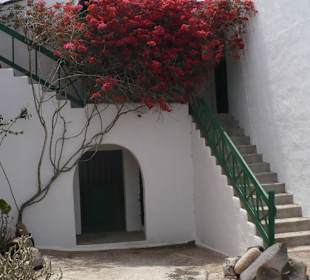 Museo Agrilcola El Patio - Tiagua