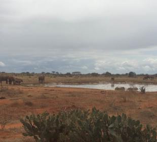 Tsavo East National Park, 1. Tag