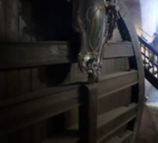 Wandern Königsstuhl