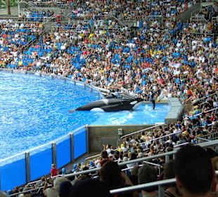 Sea World