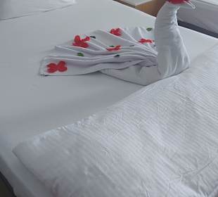Emine meine Zimmerfee. Immer toll gemacht. Palm World Side Resort & Spa