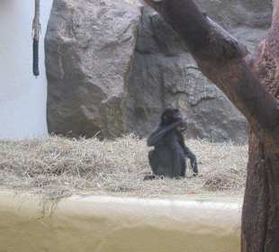 Impressionen aus dem Landauer Zoo