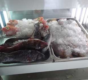 Täglich frischer Fisch