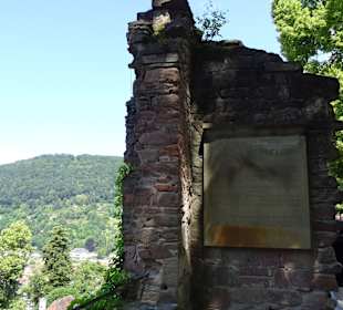 Schloss Heidelberg Ein- und Ausblicke