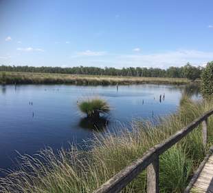Pietzmoor