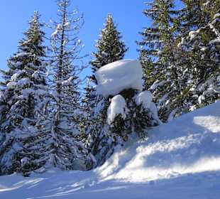 Wandern Mieming