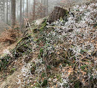 Wandern Bad Sachsa