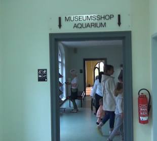 Meeresmuseum Stralsund