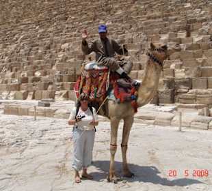 Wandelndes Kamelmotiv