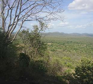 Blick über die Steppe