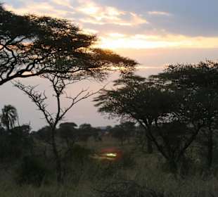 African Sundown