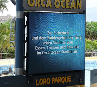 Orca Ocean Show