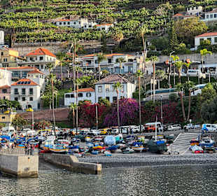 Camara de Lobos