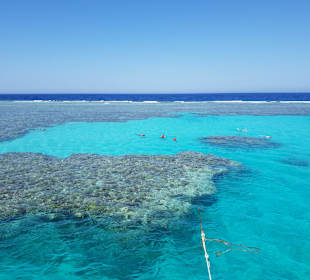 Schnorcheln Makadi Bay