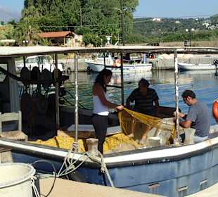 Fischer beim Sardinen auslesen
