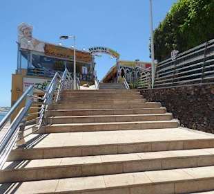 Shopping Center Tropical