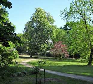 Eindrücke aus dem Hinüberschen Garten