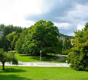 Im Kurpark unterwegs